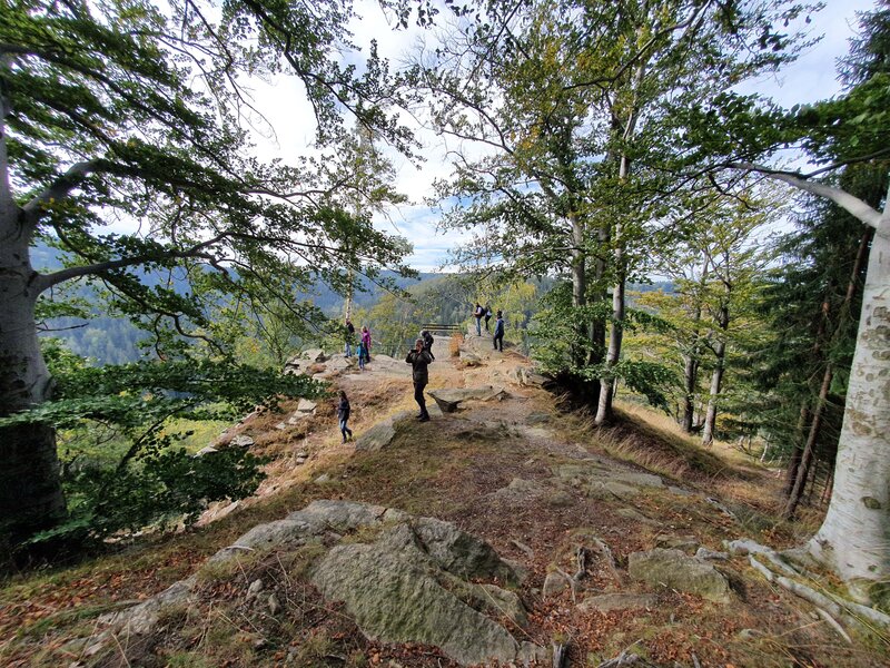 Wandern in der Oberlausitz 