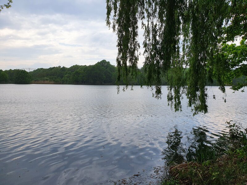Teichlandschaft Umgebung vom Ferienhof in der Oberlausitz bei Bautzen 