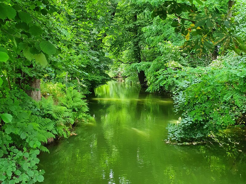 Umgebung vom Ferienhof beim Urlaub in der Oberlausitz bei Bautzen 