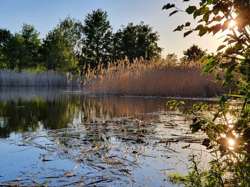 Teichlandschaft Umgebung vom Ferienhof beim Urlaub in der Oberlausitz bei Bautzen 