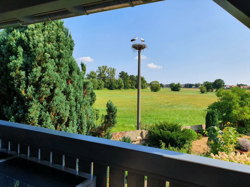 Ferienwohnung Landblick mit Blick in die Oberlausitzer Landschaft und Storchennest 